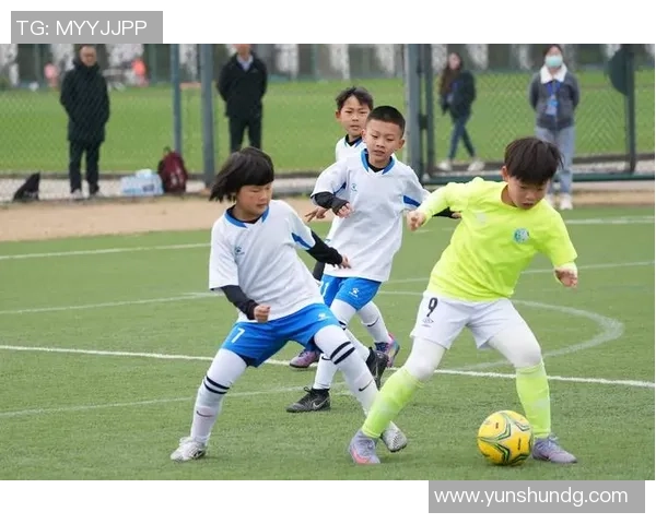 足球器材杆的选择与使用技巧解析助你提升训练效果与比赛表现