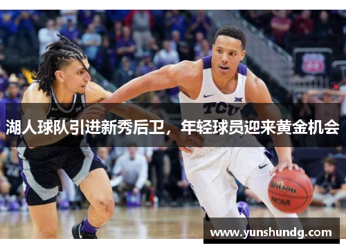 湖人球队引进新秀后卫，年轻球员迎来黄金机会