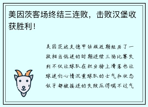 美因茨客场终结三连败，击败汉堡收获胜利！