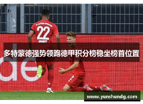 多特蒙德强势领跑德甲积分榜稳坐榜首位置