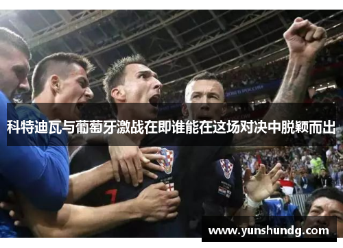 科特迪瓦与葡萄牙激战在即谁能在这场对决中脱颖而出