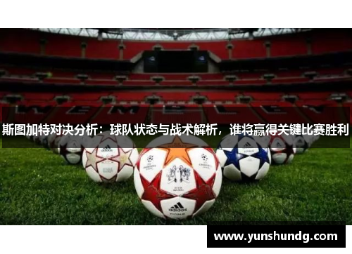 斯图加特对决分析：球队状态与战术解析，谁将赢得关键比赛胜利